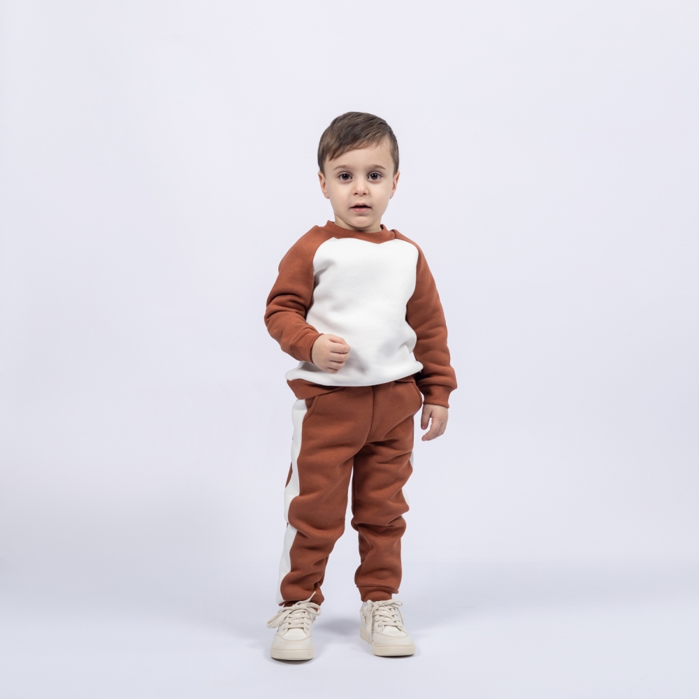 314-Ш. Свитшот + Штаны, шоколад, хлопок 65%, 35% ПЭ, 3-х нитка (начес) 98,104,110,116