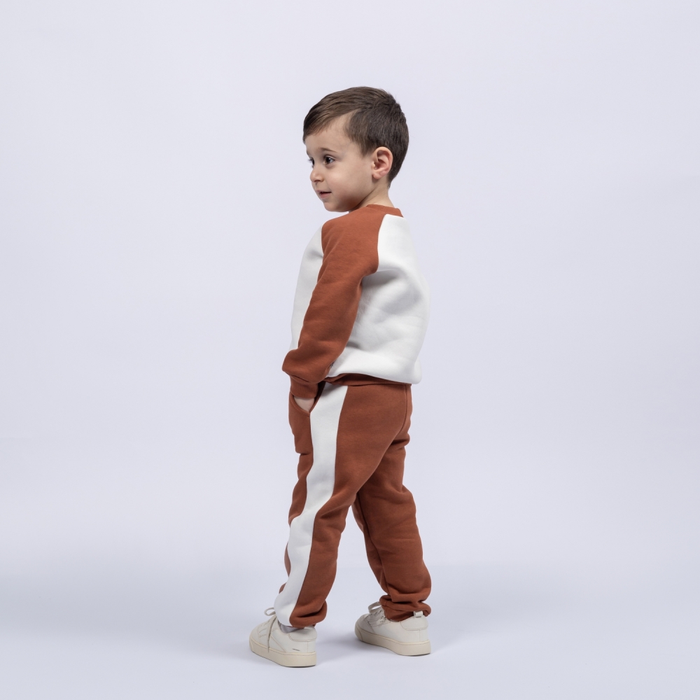 314-Ш. Свитшот + Штаны, шоколад, хлопок 65%, 35% ПЭ, 3-х нитка (начес) 98,104,110,116